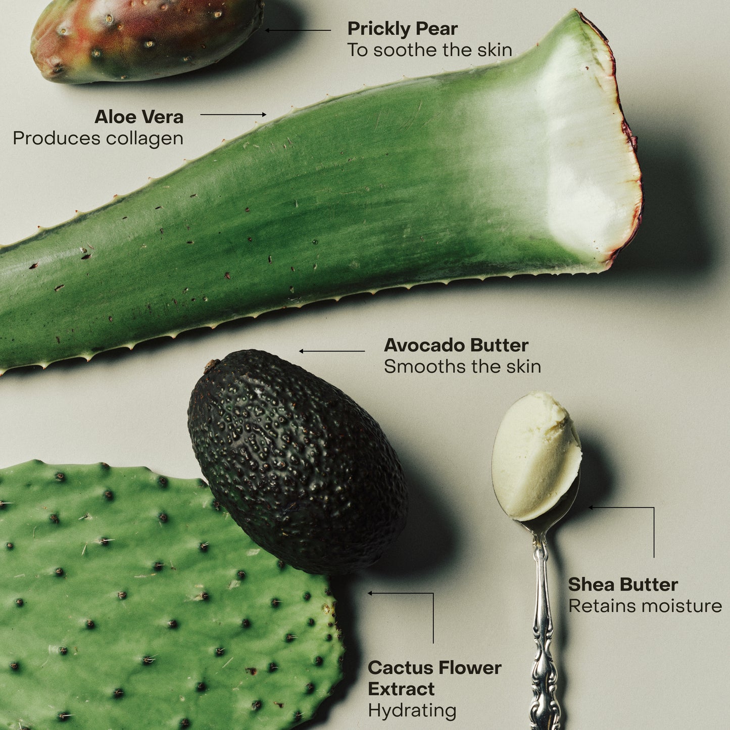 The Best Seller Collection