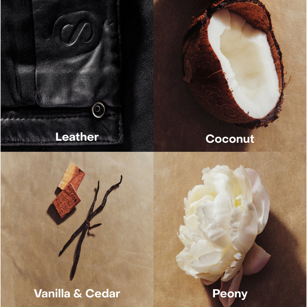 The BRALESS Collection