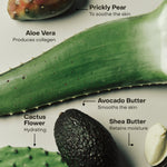 The Holiday Collection