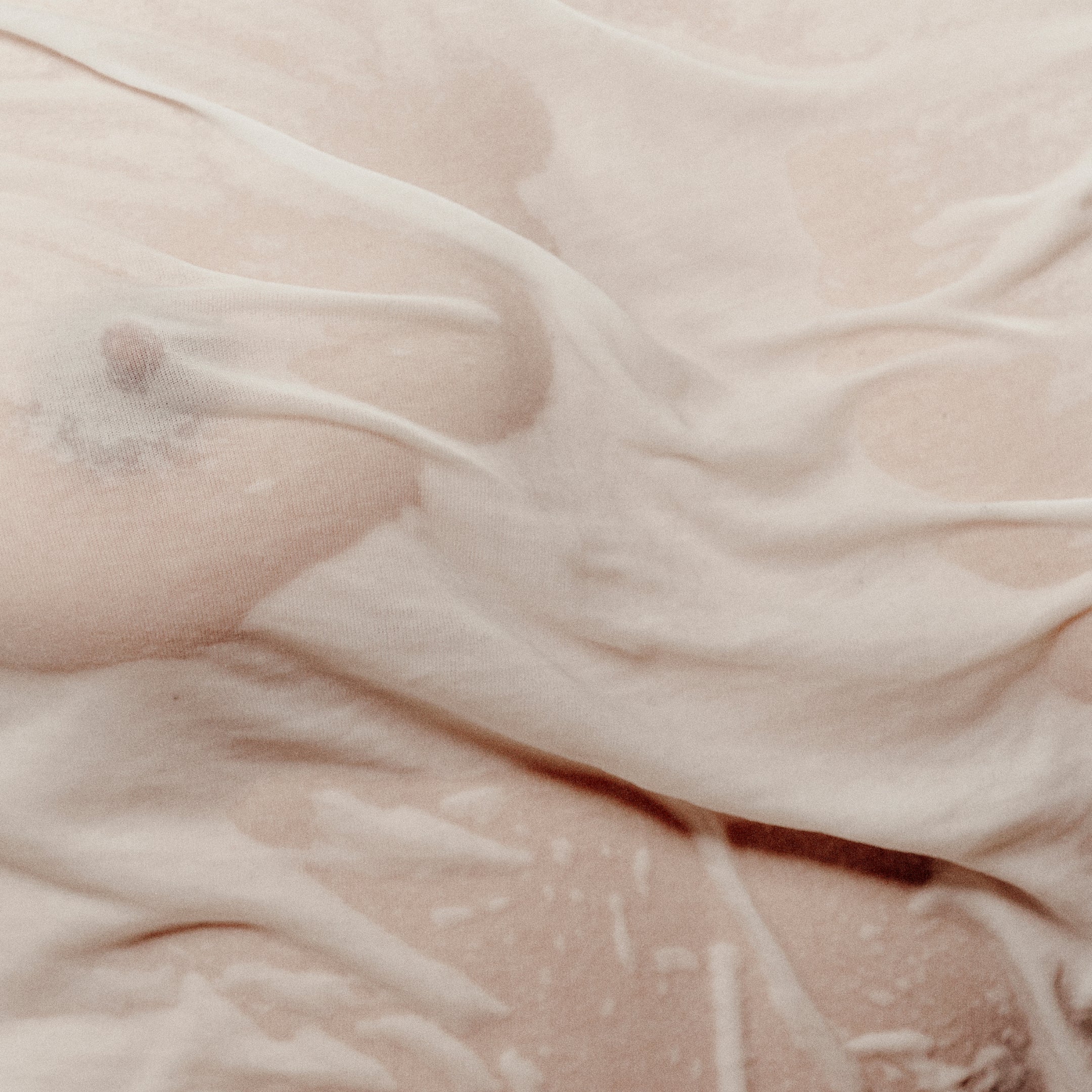 The Body Mist