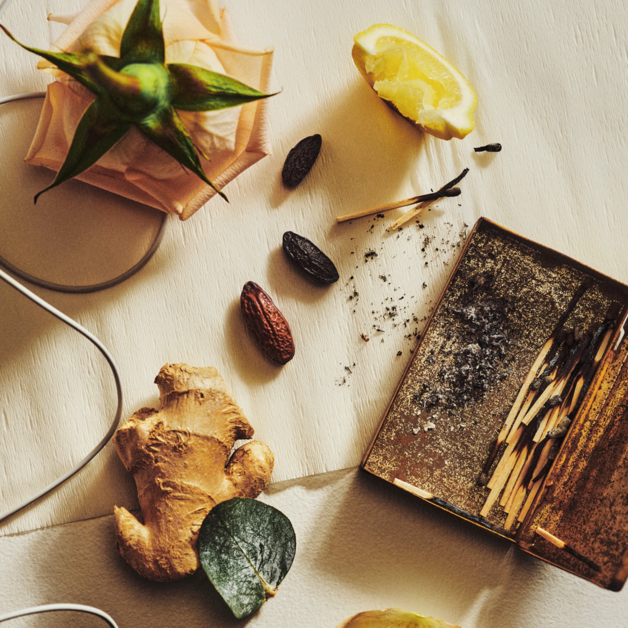 The Body Serum