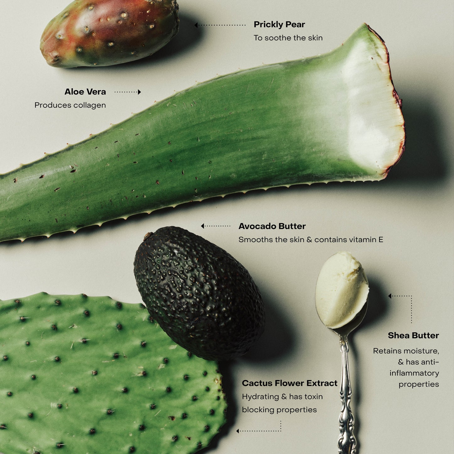 WIRED: The Body Exfoliant