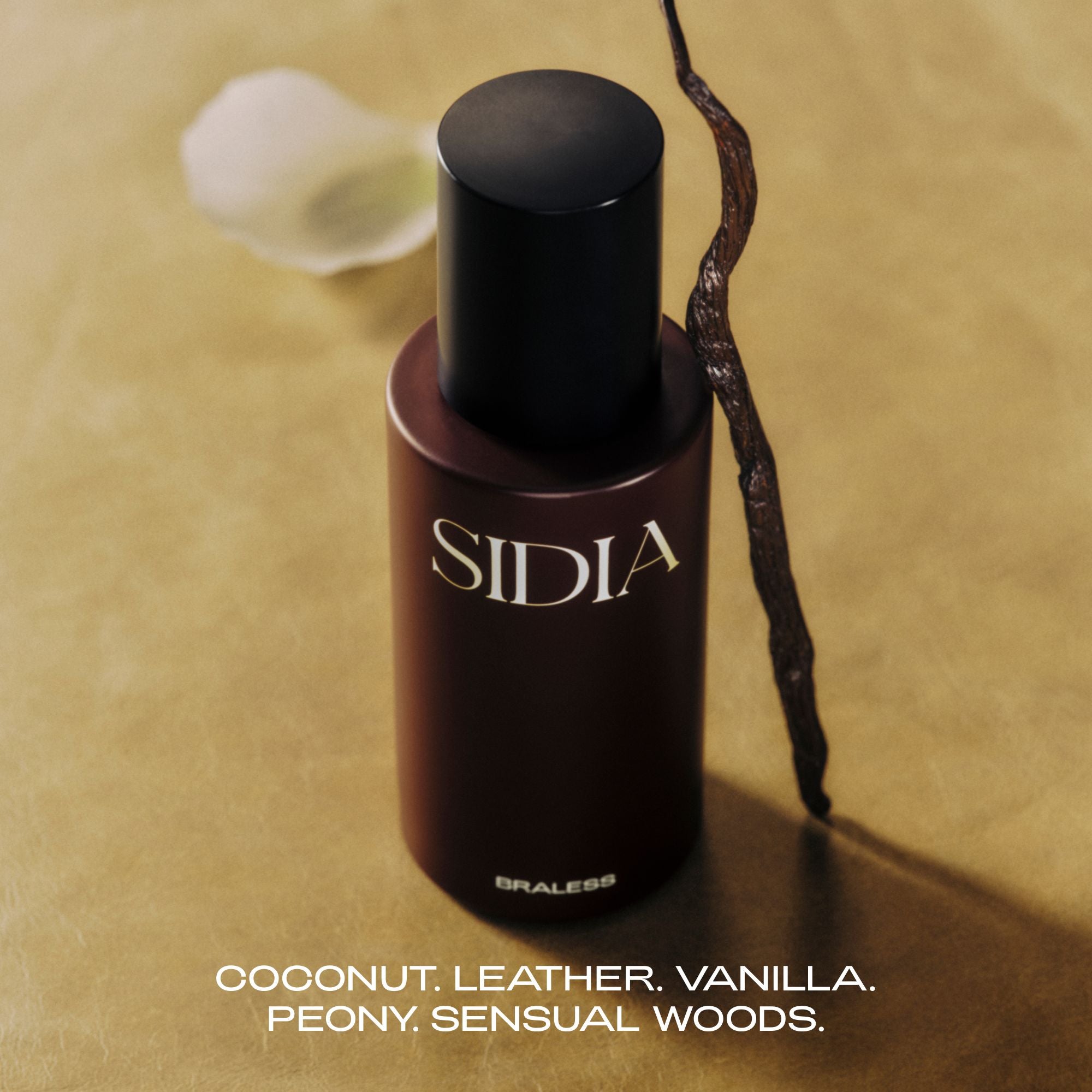 The Body Mist
