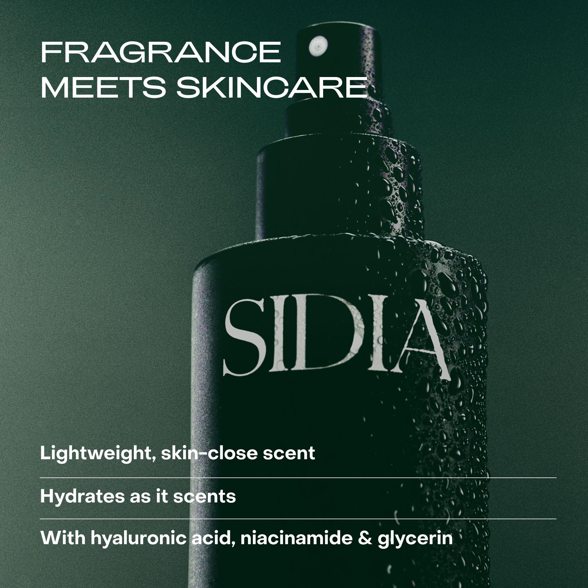 The Body Mist